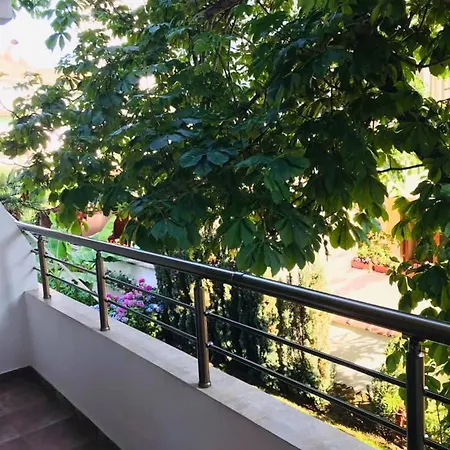 джорджия Гостевой дом