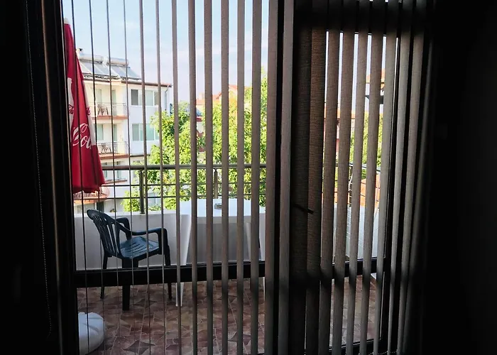 джорджия 招待所