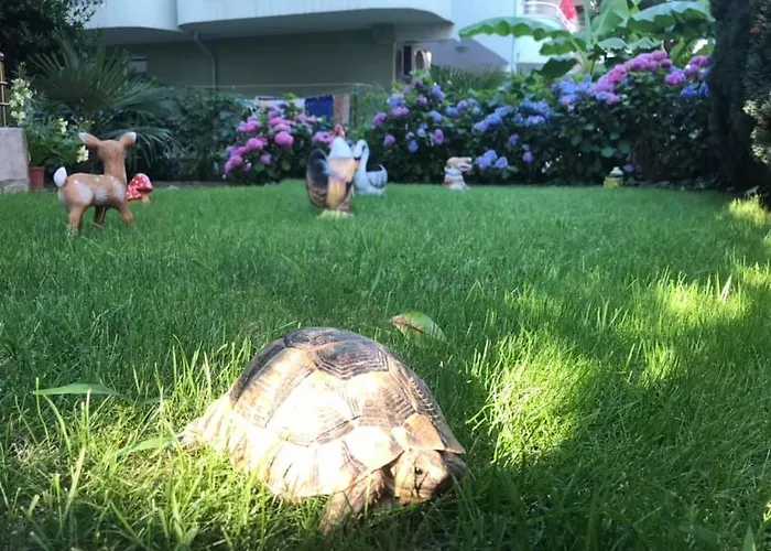 Casa de hóspedes джорджия 3*