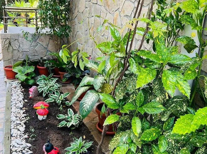 джорджия 3* كيتن